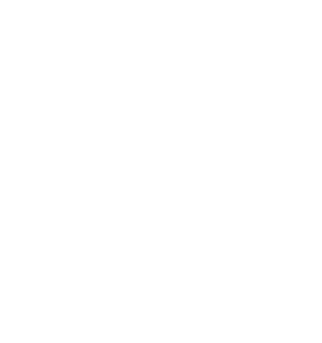 services-two-shape